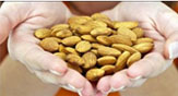 Vitamin E in Almonds